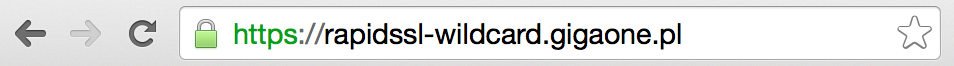 Połączenie SSL w przeglądarce Google Chrome