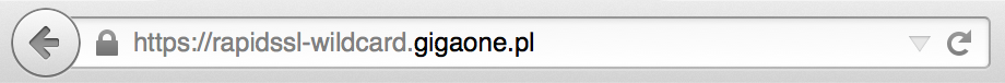 Połączenie SSL w przeglądarce Firefox
