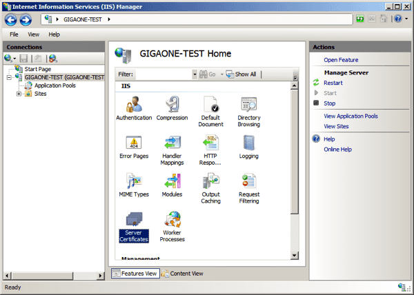 Internet Information Services (IIS) Manager / Features View / Server Certificates