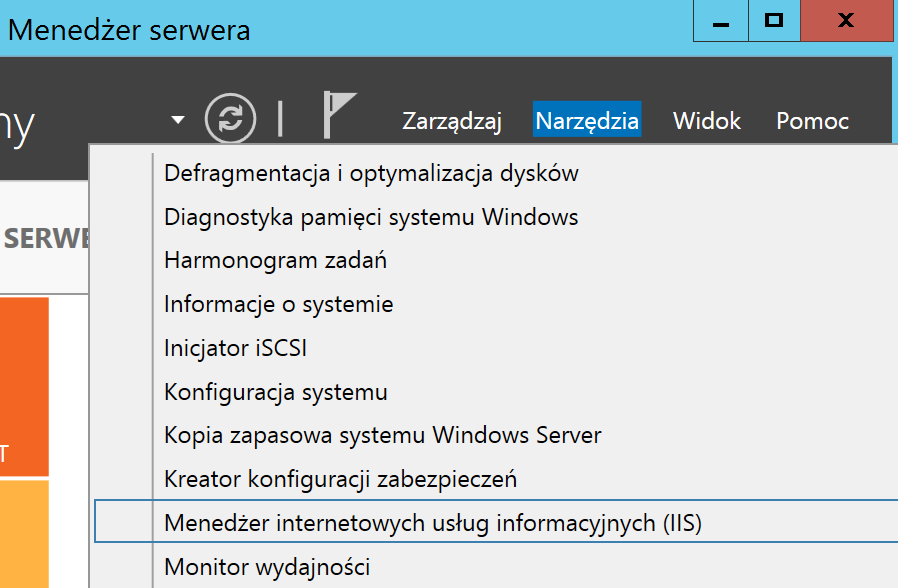 Menedżer internetowych usług informacyjnych (IIS)