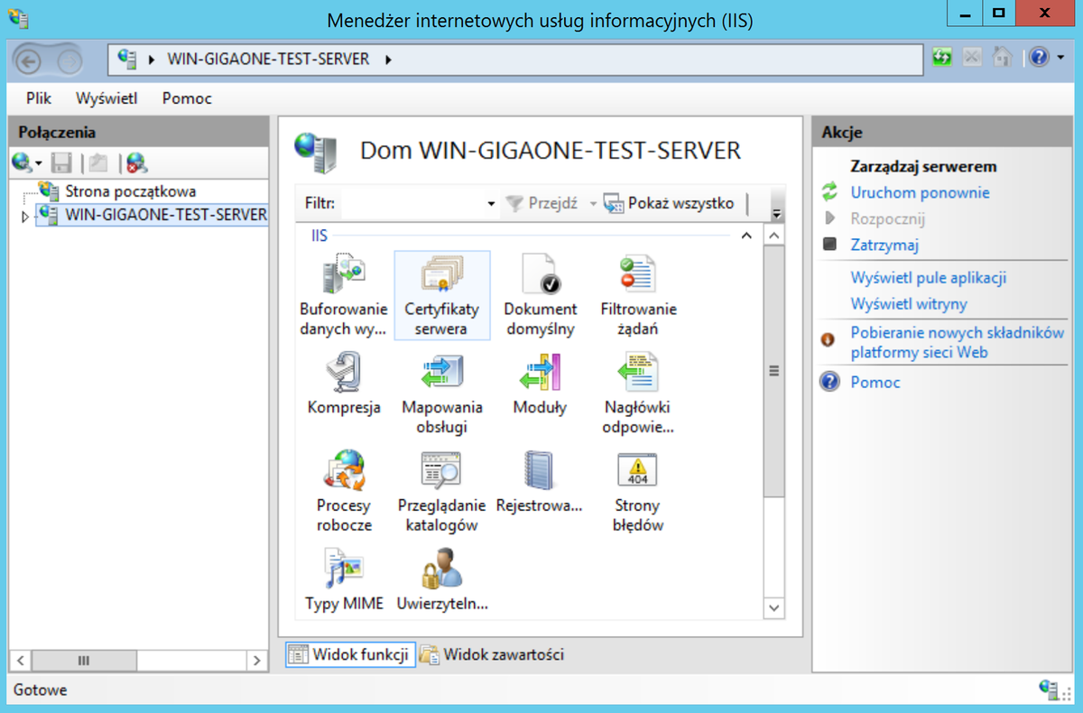 IIS Certyfikaty serwera