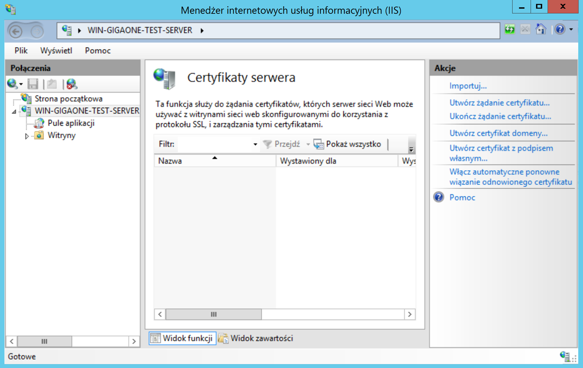 Internet Information Services (IIS) Manager / Features View / Create Certificate Request