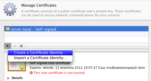 Create a Certificate Identity...