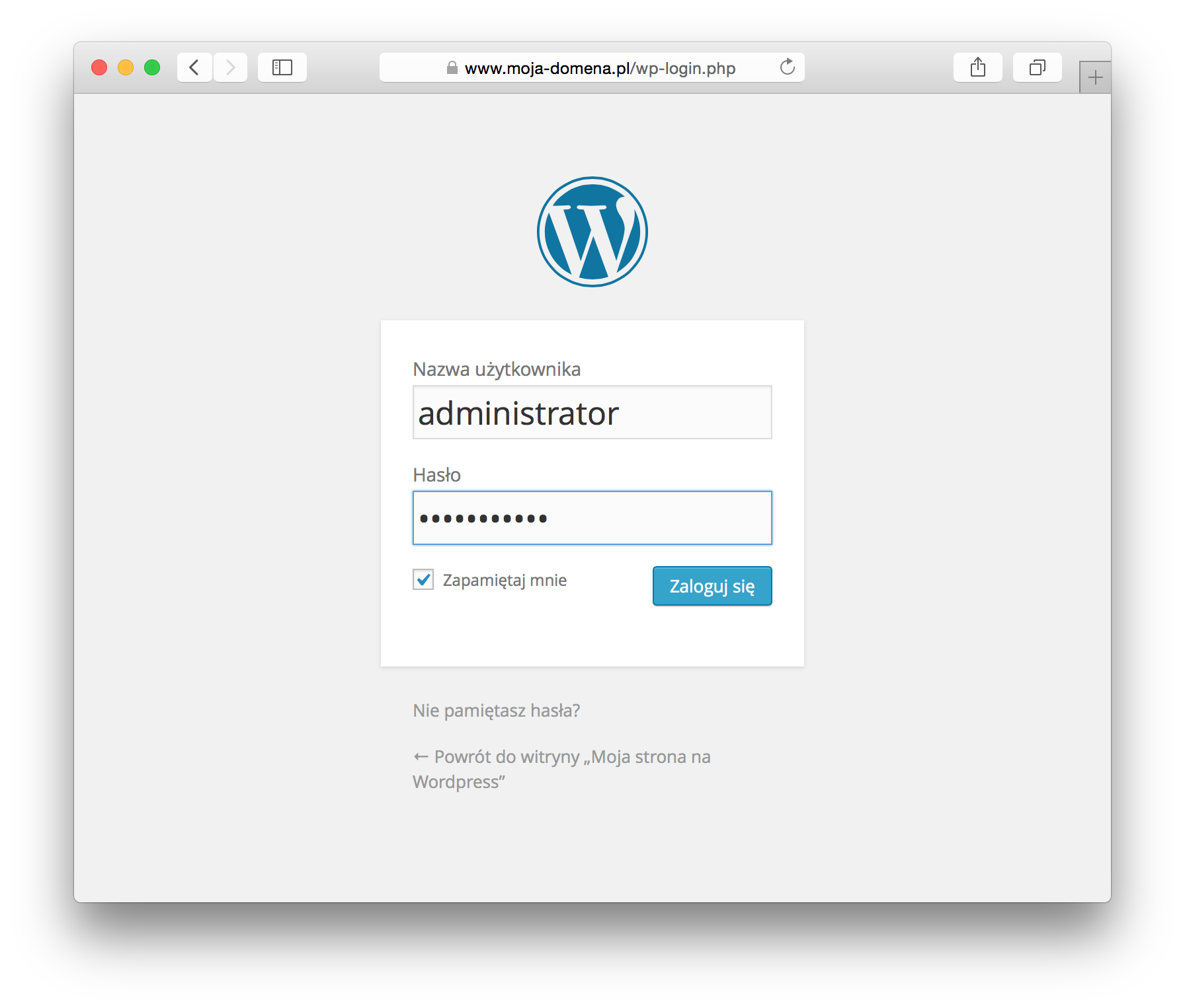 Wordpress strona logowania